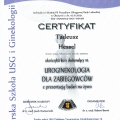 Powiększ obraz: certificate 6