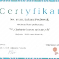 Powiększ obraz: certificate 34