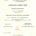 Powiększ obraz: certificate 4