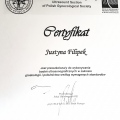Powiększ obraz: certificate 1