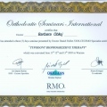 Powiększ obraz: certificate 8