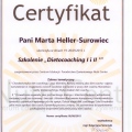 Powiększ obraz: certificate 5