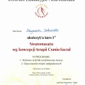 Powiększ obraz: certificate 8