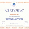 Powiększ obraz: certificate 2
