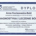 Powiększ obraz: certificate 11