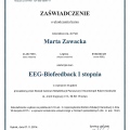 Powiększ obraz: certificate 1