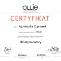 Powiększ obraz: certificate 10