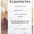 Powiększ obraz: certificate 31