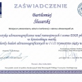 Powiększ obraz: certificate 11