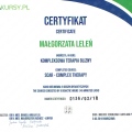 Powiększ obraz: certificate 8