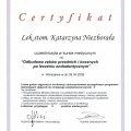 Powiększ obraz: certificate 33