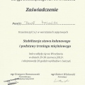Powiększ obraz: certificate 7