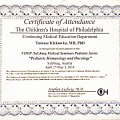 Powiększ obraz: certificate 8