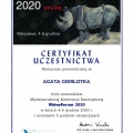 Powiększ obraz: certificate 174