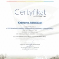 Powiększ obraz: certificate 8