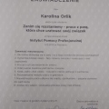 Powiększ obraz: certificate 12