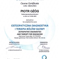 Powiększ obraz: certificate 6
