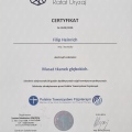 Powiększ obraz: certificate 13