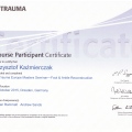 Powiększ obraz: certificate 10