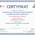 Powiększ obraz: certificate 6