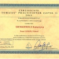 Powiększ obraz: certificate 8