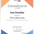Powiększ obraz: certificate 5