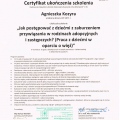 Powiększ obraz: certificate 1