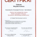 Powiększ obraz: certificate 1