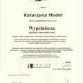 Powiększ obraz: certificate 6