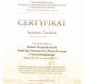 Powiększ obraz: certificate 5