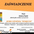 Powiększ obraz: certificate 29