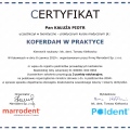 Powiększ obraz: certificate 5