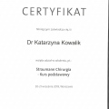 Powiększ obraz: certificate 3