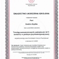 Powiększ obraz: certificate 29