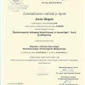 Powiększ obraz: certificate 2