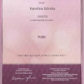 Powiększ obraz: certificate 15