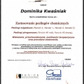 Powiększ obraz: certificate 12
