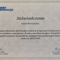 Powiększ obraz: certificate 8