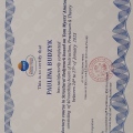 Powiększ obraz: certificate 7
