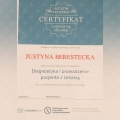 Powiększ obraz: certificate 14