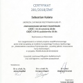Powiększ obraz: certificate 11