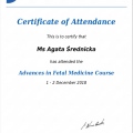 Powiększ obraz: certificate 4
