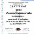 Powiększ obraz: certificate 11