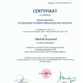 Powiększ obraz: certificate 1