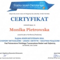Powiększ obraz: certificate 5