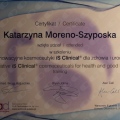 Powiększ obraz: certificate 35
