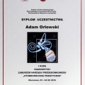 Powiększ obraz: certificate 26