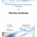 Powiększ obraz: certificate 24