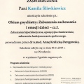 Powiększ obraz: certificate 4