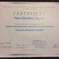 Powiększ obraz: certificate 12